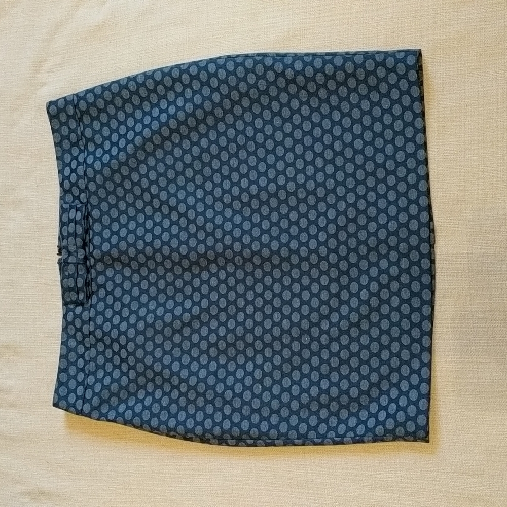 LOFT Skirt
